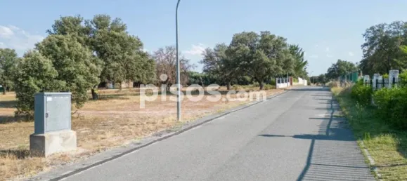 3058m² Land in Maello, Spain No. 138771 5