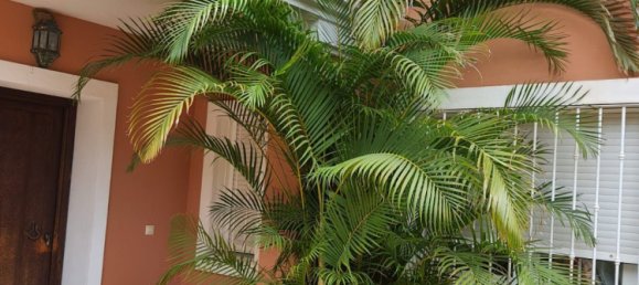 Villa de 4 dormitorios en Estepona, Spain No. 126966 30