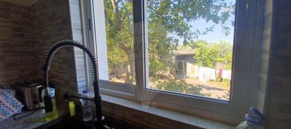 5 bedrooms House in Castelo Branco, Portugal No. 169579 17