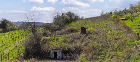 4256m² Land in Klosterneuburg, Austria No. 259995 2