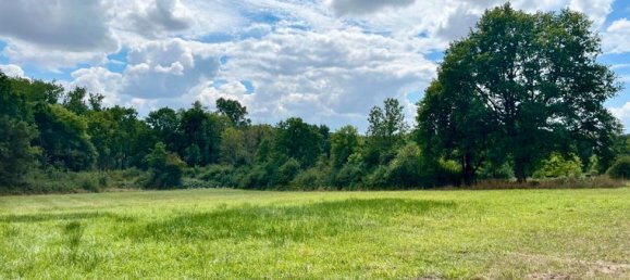 Grundstück in Charbuy, France 8300m², Nr. 309972 4