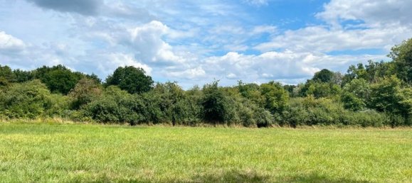 Grundstück in Charbuy, France 8300m², Nr. 309972 3