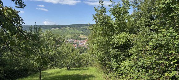 Grundstück in Rems-Murr-Kreis, Germany, Nr. 231533 4