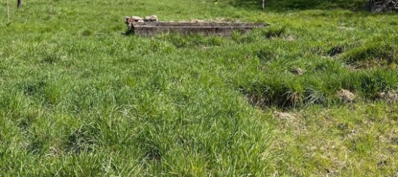 Casa de 5 dormitorios en Theding, France No. 58876 10