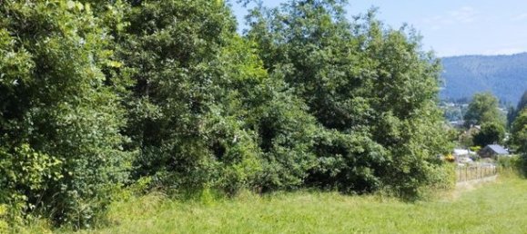 Terreno em Lozere, France 3096 m² N.º 304868 6