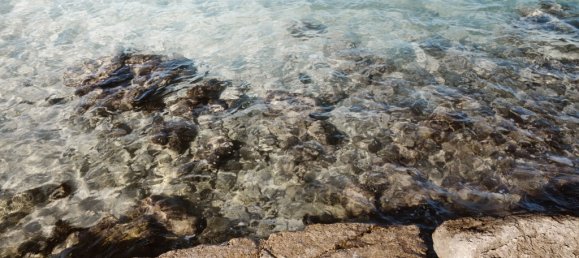 1 chambre Maison à Morciano di Leuca, Italy No. 69018 23