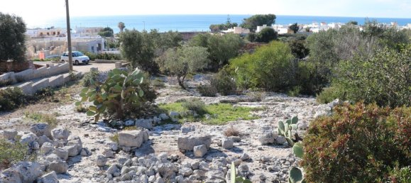 1 chambre Maison à Morciano di Leuca, Italy No. 69018 10