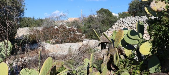 1 chambre Maison à Morciano di Leuca, Italy No. 69018 15