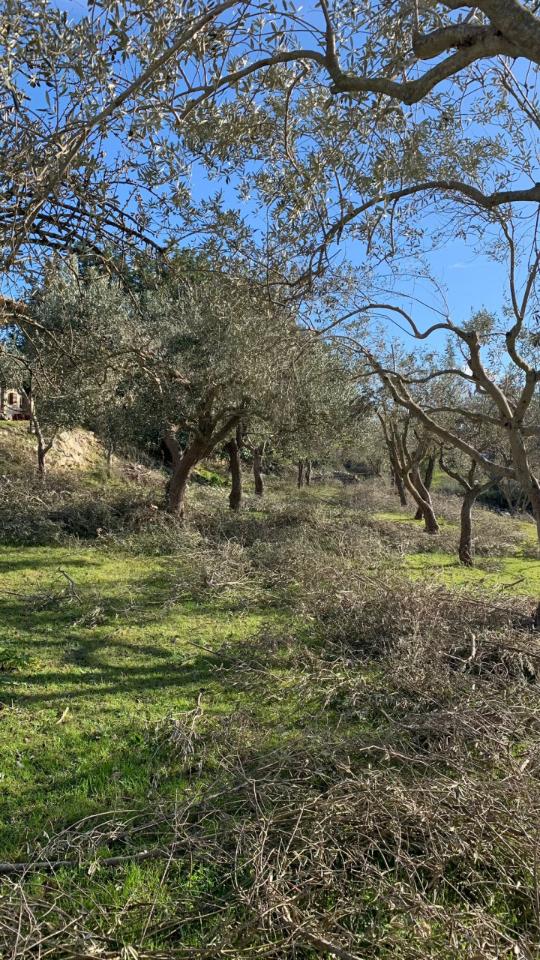 Estudio en Modica, Italy No. 227376