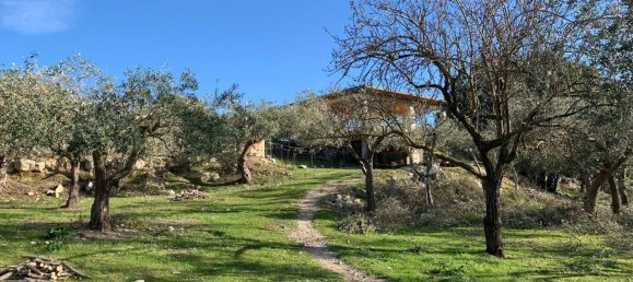 Estudio en Modica, Italy No. 227376 6