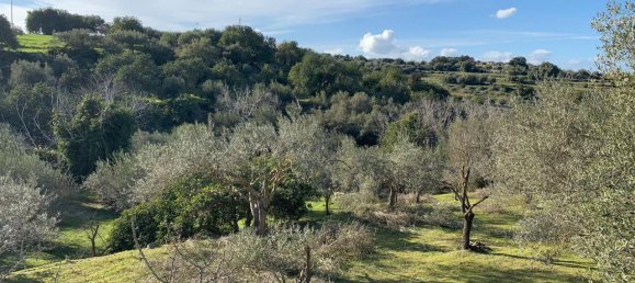 Estudio en Modica, Italy No. 227376 7