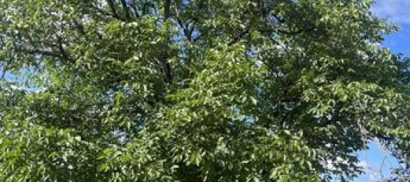 Дом с 2 спальнями в Крёз, Франция № 302181 7