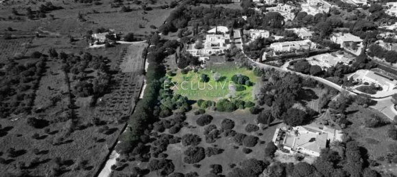 Terrain à Lagoa, Portugal No. 100046 11