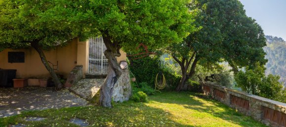 4 bedrooms House in Massarosa, Italy No. 71688 4