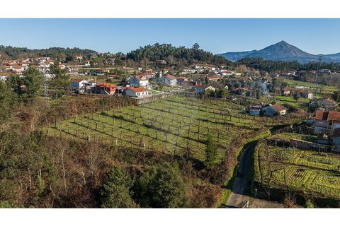  قطعة أرض في Celorico de Basto, Portugal رقم 190066