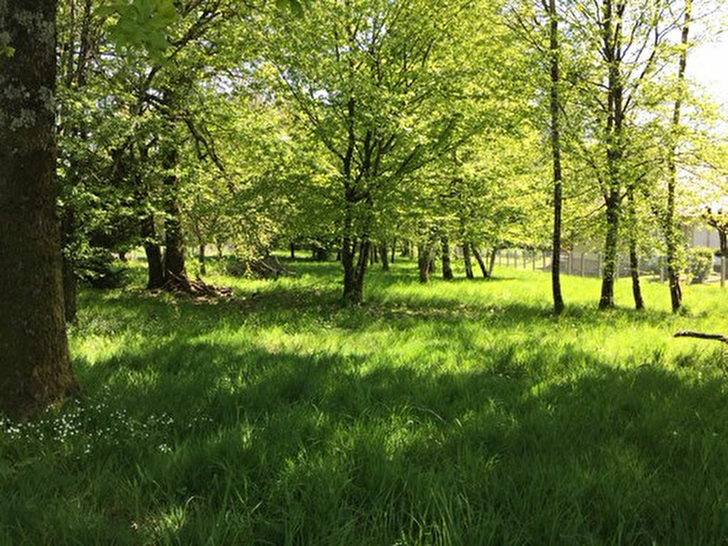  قطعة أرض في Saint-Benoit-du-Sault, France رقم 91162