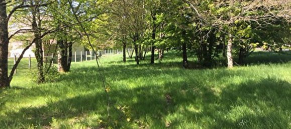  قطعة أرض في Saint-Benoit-du-Sault, France رقم 91162 3