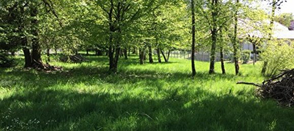  قطعة أرض في Saint-Benoit-du-Sault, France رقم 91162 2