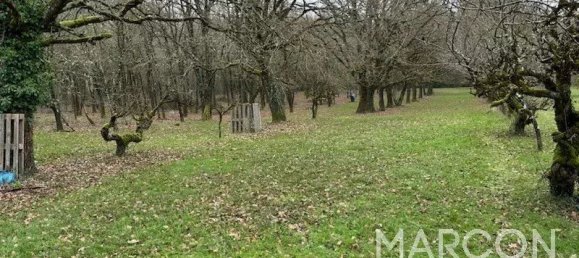 7 غرف نوم منزل في Saint-Gaultier, France رقم 48513 3