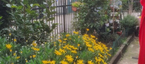 2 rooms Apartment in Baranzate, Italy No. 36147 13