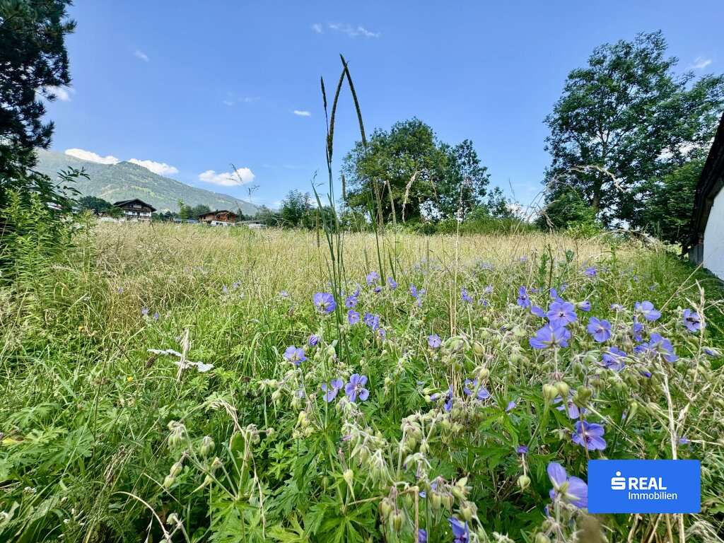Terrain à Oberlienz, Austria No. 53966