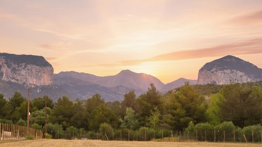  Land in Alaro, Spain No. 266664