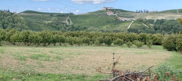 2 rooms Warehouse in Montelupo Albese, Italy No. 364105 13