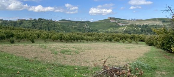 2 rooms Warehouse in Montelupo Albese, Italy No. 364105 12