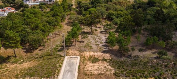 Grundstück in Caldas da Rainha, Portugal 12826m², Nr. 81428 26