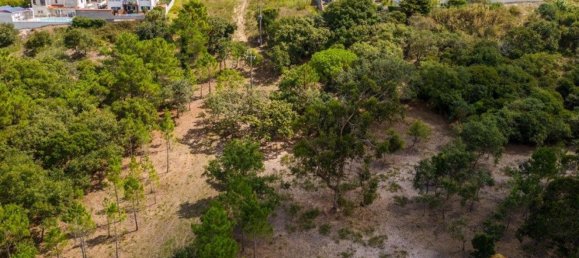 Grundstück in Caldas da Rainha, Portugal 12826m², Nr. 81428 25