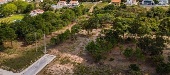 Grundstück in Caldas da Rainha, Portugal 12826m², Nr. 81428 22