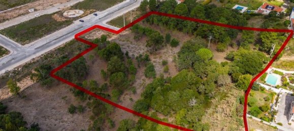 Grundstück in Caldas da Rainha, Portugal 12826m², Nr. 81428 3