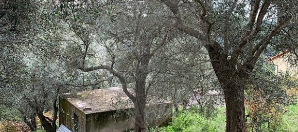 3 bedrooms House in Covilha, Portugal No. 43594 26