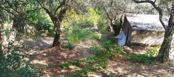 3 bedrooms House in Covilha, Portugal No. 43594 23