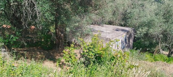 3 bedrooms House in Covilha, Portugal No. 43594 24