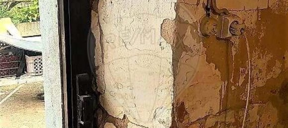 2 Schlafzimmer Grundstück in Santiago do Cacem, Portugal, Nr. 128609 7