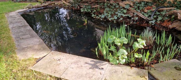 2 غرف نوم منزل في Rudow, Germany رقم 259155 45