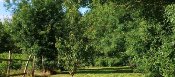 3 bedrooms House in Charente-Maritime, France No. 323233 20