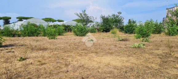 Terreno en San Felice Circeo, Italy 1050 m² No. 159771 13