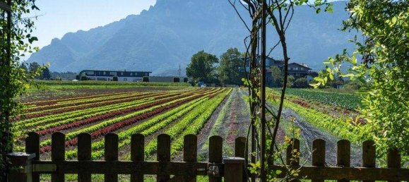 4غرفة منزل في Wals-Siezenheim, Austria رقم 8209 8