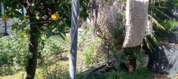 3 Schlafzimmer Haus in Carrara, Italy, Nr. 51180 4