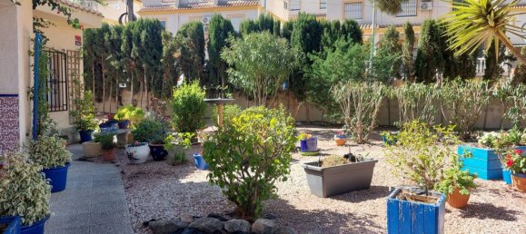 5 bedrooms Villa in Algorfa, Spain No. 12189 7