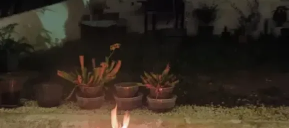 2 غرف نوم شقة في Castellon, Spain رقم 177653 31