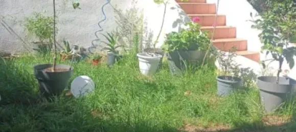 2 غرف نوم شقة في Castellon, Spain رقم 177653 15