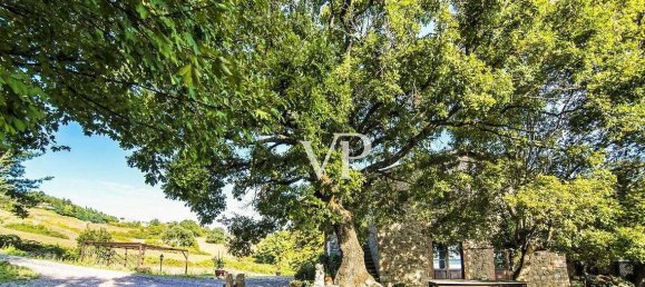 Дом с 5 комнатами в Роккастрада, Италия № 33860 12