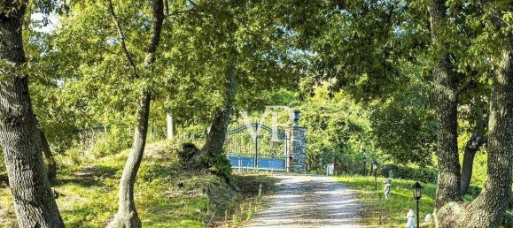 Дом с 5 комнатами в Роккастрада, Италия № 33860 27