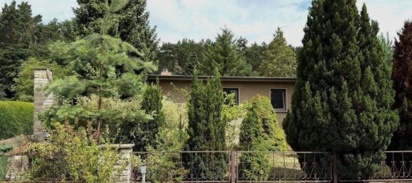 Terreno en Potsdam-Mittelmark, Germany No. 258560 3