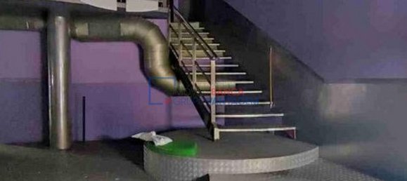 374m² Building in Brotas, Portugal No. 91683 5