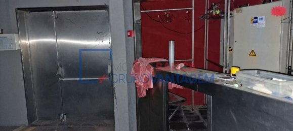 374m² Building in Brotas, Portugal No. 91683 14