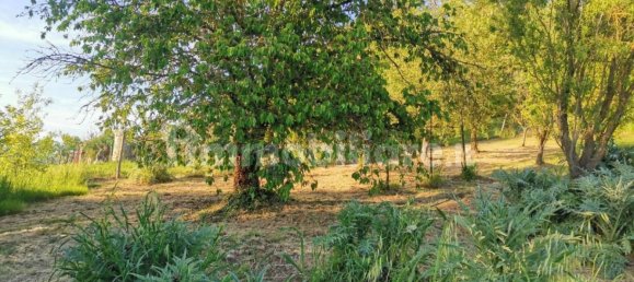 Terreno en Poggibonsi, Italy 3500 m² No. 297915 10